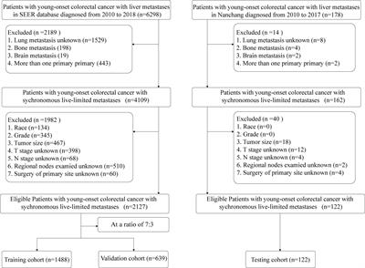 Development and validation of a clinical survival model for young-onset colorectal cancer with synchronous liver-only metastases: a SEER population-based study and external validation